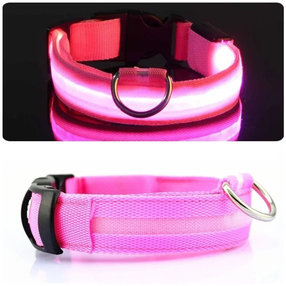 ⛔️CLEARANCE ⛔️LED Night Jog Dog Collar